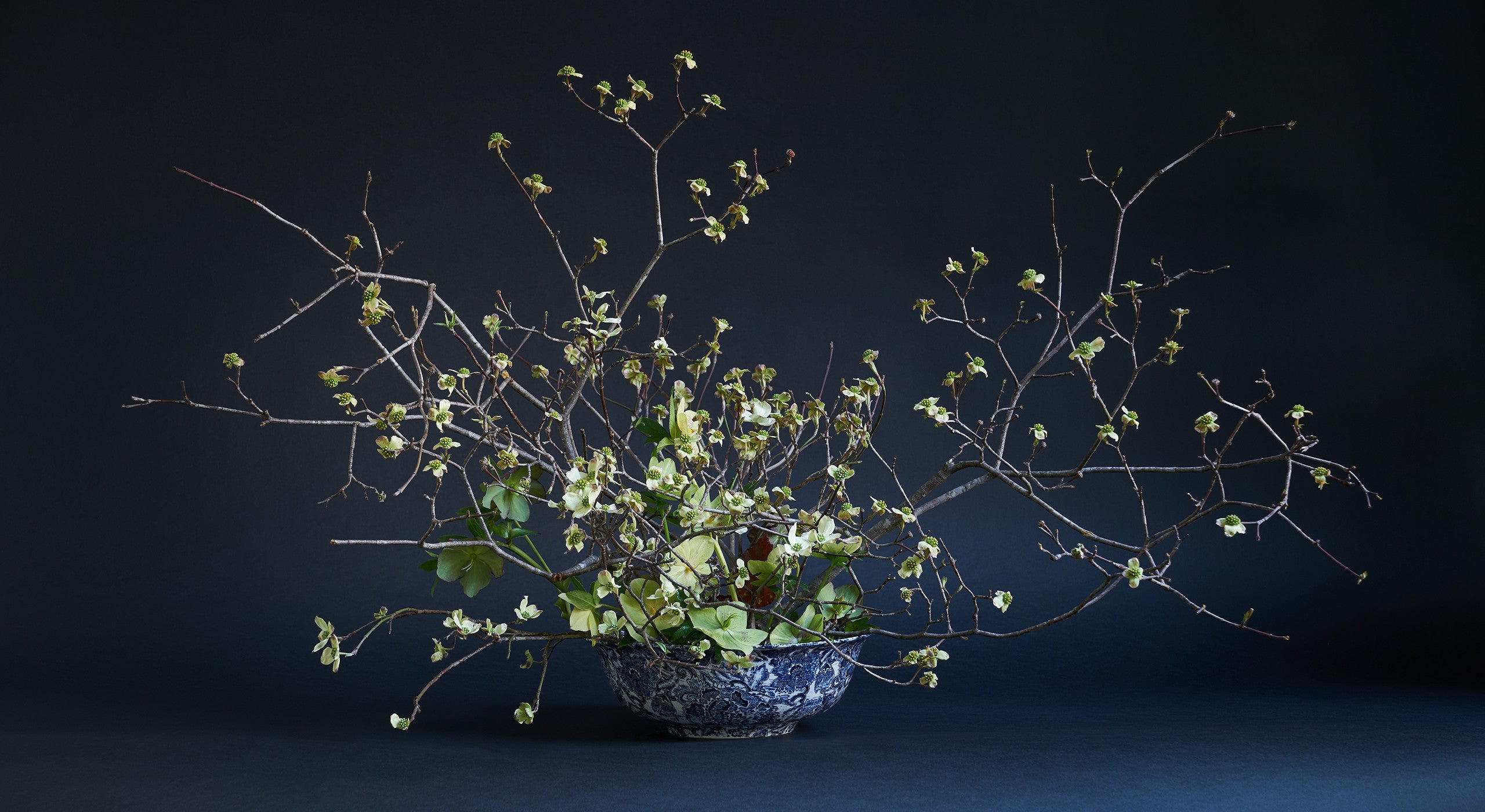 &ldquo;I love to work with branches, and flowering dogwood is one of the most evocative because of their form and the contortions. In this arrangement, they are stuck into a kenzan flower frog, which is a Japanese technique that allows for a lot of air in an arrangement. It can be easily affixed to the bowl with flower gunk&mdash;a commercially available adhesive that won&rsquo;t get dislodged when you add water. The goal is to expose the beautiful inside of the bowl and create the feeling as if you&rsquo;re almost diving in. I added Lenten rose, which is the first flower up through the snow besides the snowdrop. They&rsquo;re a five-petal flower but have a direct relationship to the dogwood form, and that repetition is what I was after. The only other materials in there are a few begonia leaves. I&rsquo;ve mostly put them in the back so it rewards somebody who does come up on this from behind.&rdquo;